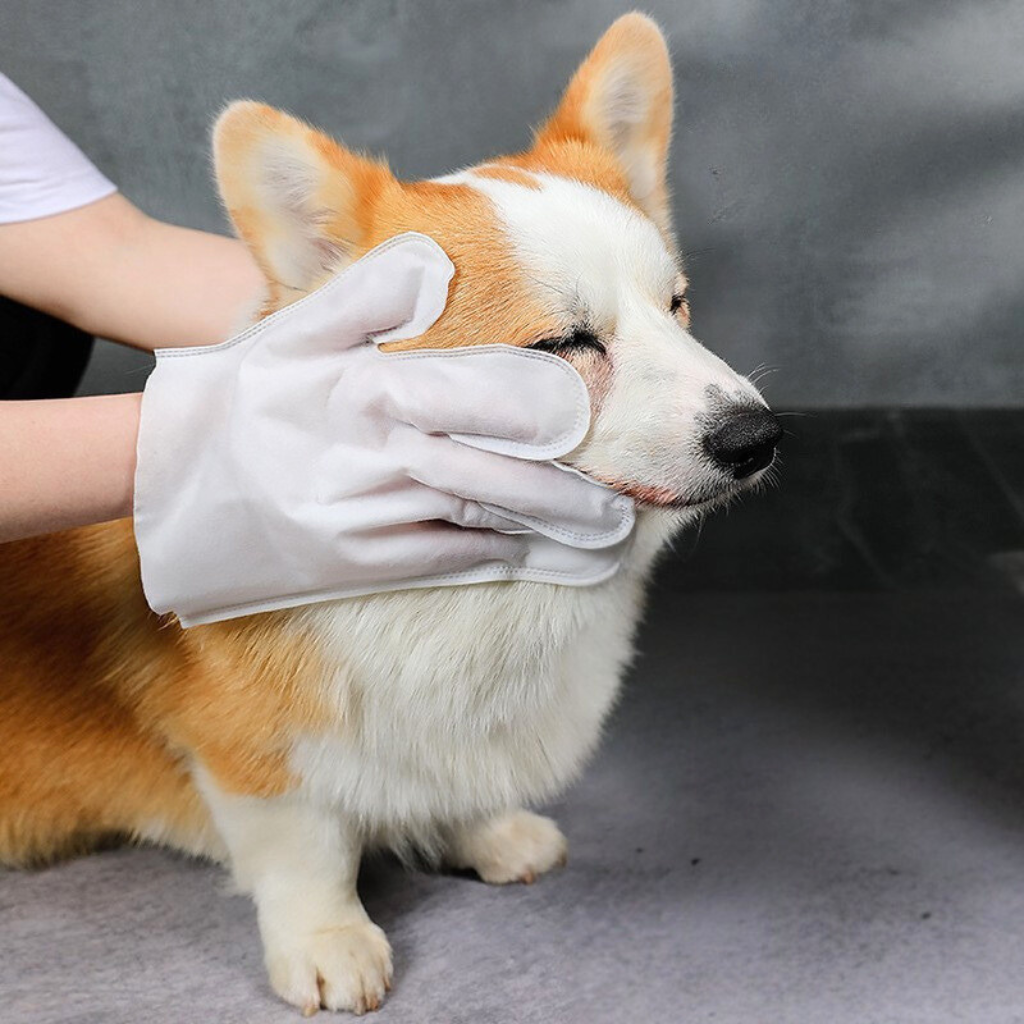 Natural Pet Grooming Gloves