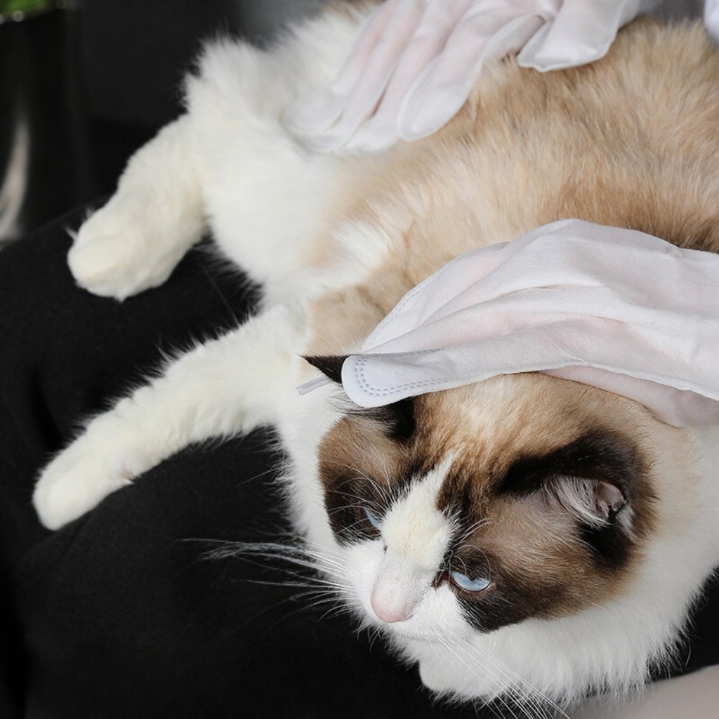 Natural Pet Grooming Gloves